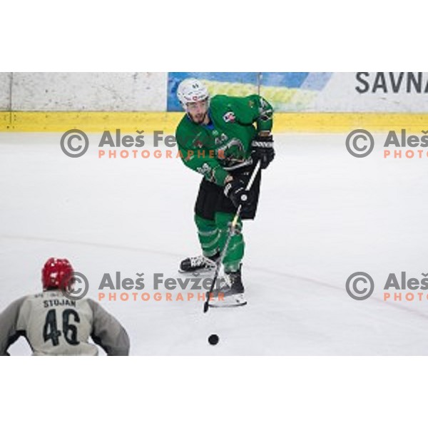 David Planko in action during Alps league ice hockey match between HK SZ Olimpija and Jesenice , Tivoli hall, Ljubljana, Slovenia on November 25, 2018