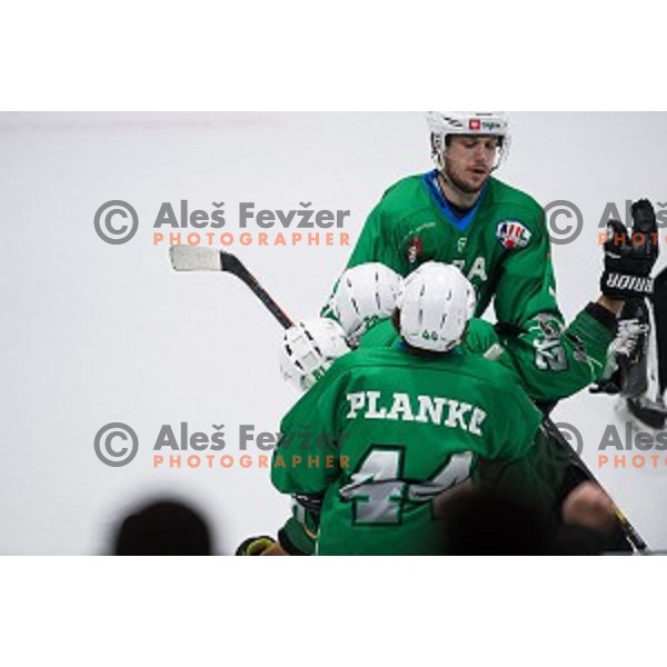 Olimpija in action during Alps league ice hockey match between HK SZ Olimpija and Jesenice , Tivoli hall, Ljubljana, Slovenia on November 25, 2018
