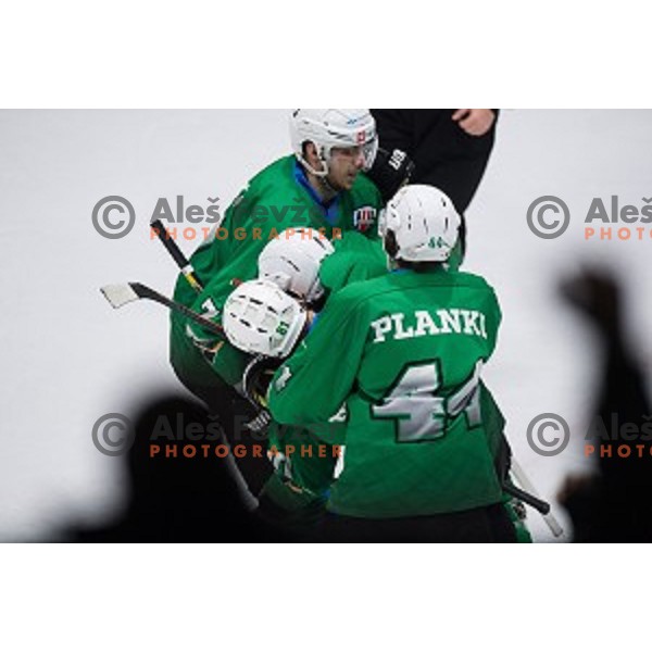 Olimpija in action during Alps league ice hockey match between HK SZ Olimpija and Jesenice , Tivoli hall, Ljubljana, Slovenia on November 25, 2018