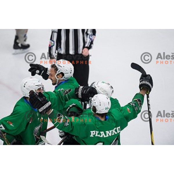 Olimpija in action during Alps league ice hockey match between HK SZ Olimpija and Jesenice , Tivoli hall, Ljubljana, Slovenia on November 25, 2018