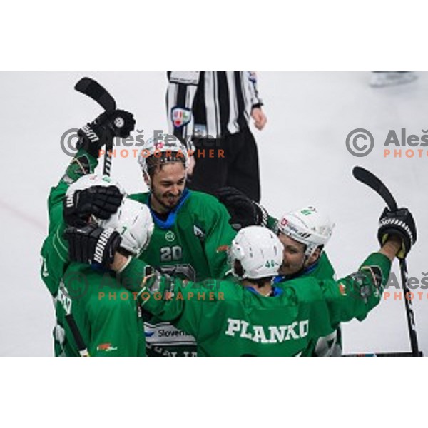 Olimpija in action during Alps league ice hockey match between HK SZ Olimpija and Jesenice , Tivoli hall, Ljubljana, Slovenia on November 25, 2018