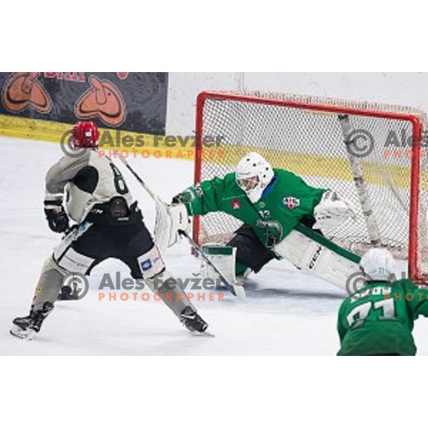 Zan Us in action during Alps league ice hockey match between HK SZ Olimpija and Jesenice , Tivoli hall, Ljubljana, Slovenia on November 25, 2018