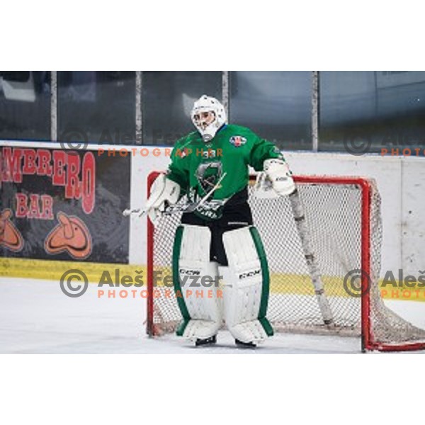 Zan Us in action during Alps league ice hockey match between HK SZ Olimpija and Jesenice , Tivoli hall, Ljubljana, Slovenia on November 25, 2018