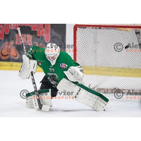 Zan Us in action during Alps league ice hockey match between HK SZ Olimpija and Jesenice , Tivoli hall, Ljubljana, Slovenia on November 25, 2018