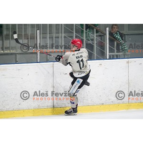 Luka Kalan in action during Alps league ice hockey match between HK SZ Olimpija and Jesenice , Tivoli hall, Ljubljana, Slovenia on November 25, 2018