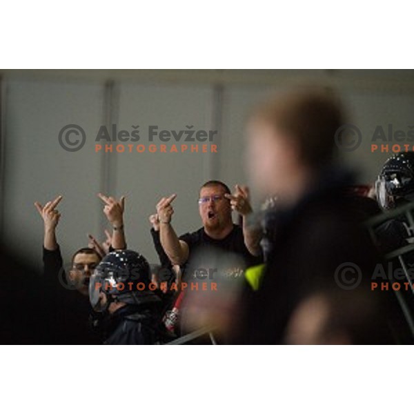 Jesenice fans in action during Alps league ice hockey match between HK SZ Olimpija and Jesenice , Tivoli hall, Ljubljana, Slovenia on November 25, 2018