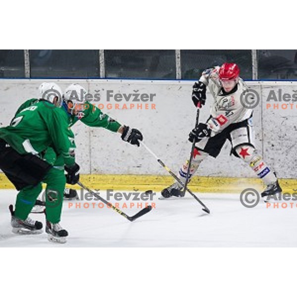 Gasper Glavic in action during Alps league ice hockey match between HK SZ Olimpija and Jesenice , Tivoli hall, Ljubljana, Slovenia on November 25, 2018