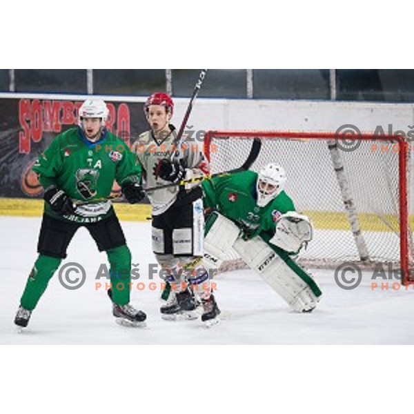 Luka Zorko, Zan Us in action during Alps league ice hockey match between HK SZ Olimpija and Jesenice , Tivoli hall, Ljubljana, Slovenia on November 25, 2018