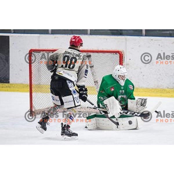 Zan Us in action during Alps league ice hockey match between HK SZ Olimpija and Jesenice , Tivoli hall, Ljubljana, Slovenia on November 25, 2018