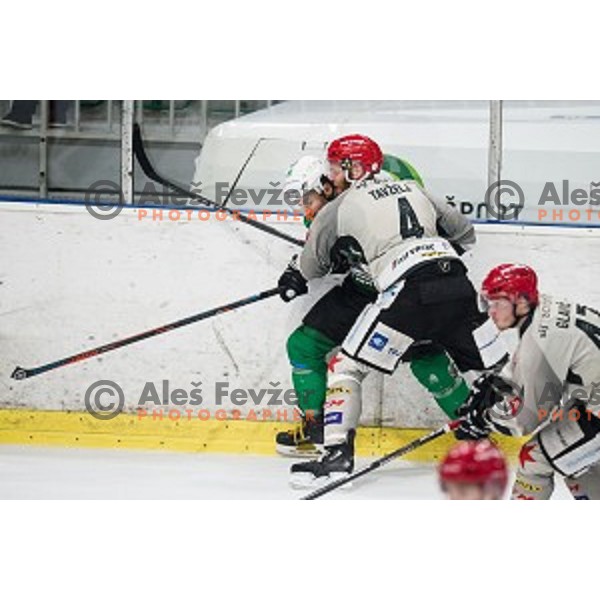 Ales Tavzelj in action during Alps league ice hockey match between HK SZ Olimpija and Jesenice , Tivoli hall, Ljubljana, Slovenia on November 25, 2018
