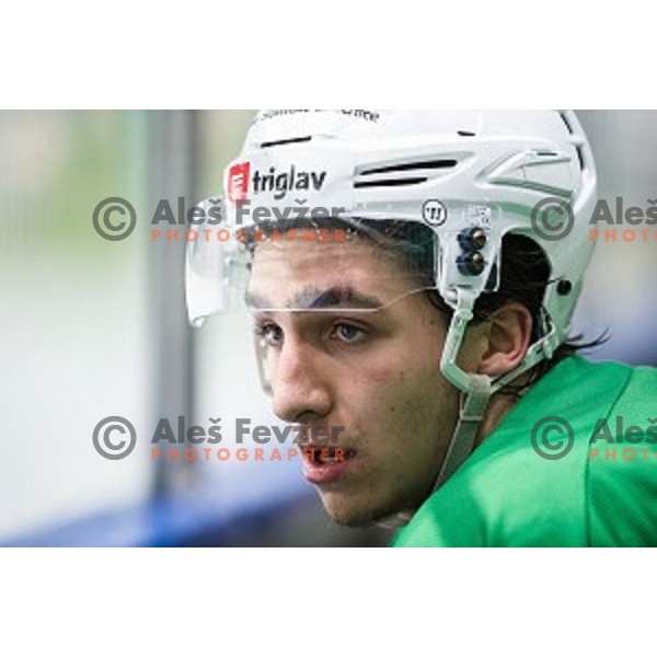 Ziga Brus in action during Alps league ice hockey match between HK SZ Olimpija and Jesenice , Tivoli hall, Ljubljana, Slovenia on November 25, 2018