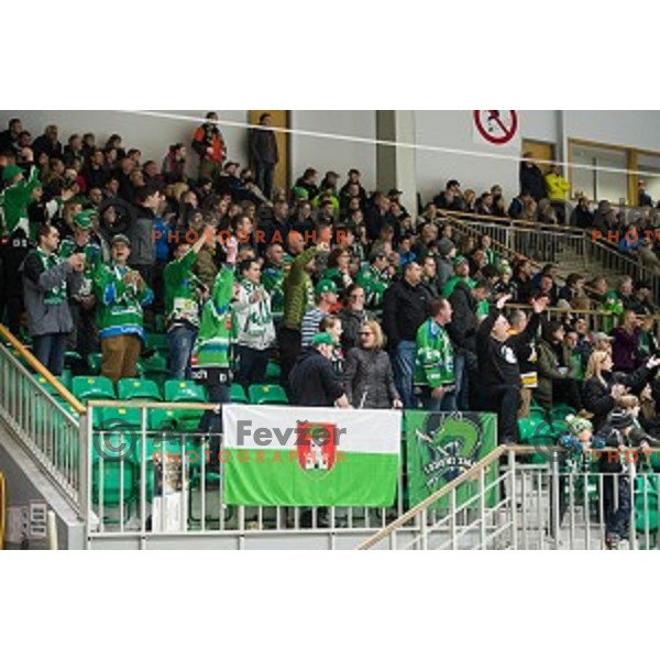 fans in action during Alps league ice hockey match between HK SZ Olimpija and Jesenice , Tivoli hall, Ljubljana, Slovenia on November 25, 2018