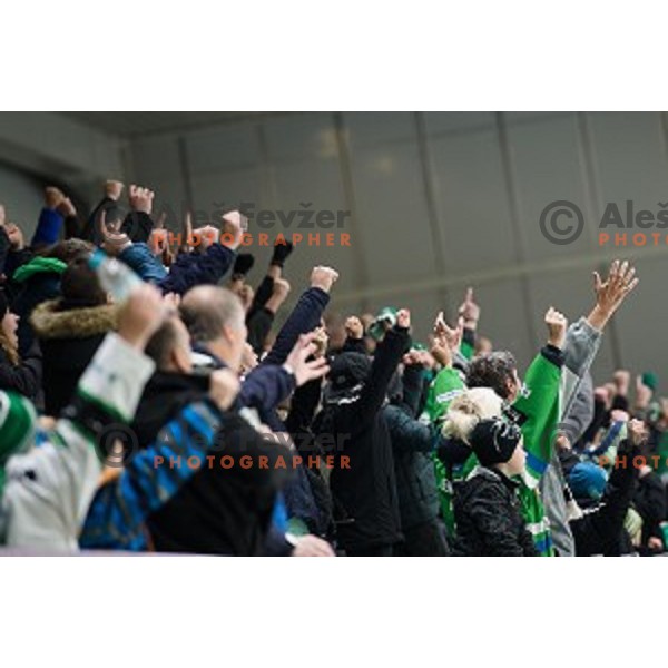 fans in action during Alps league ice hockey match between HK SZ Olimpija and Jesenice , Tivoli hall, Ljubljana, Slovenia on November 25, 2018