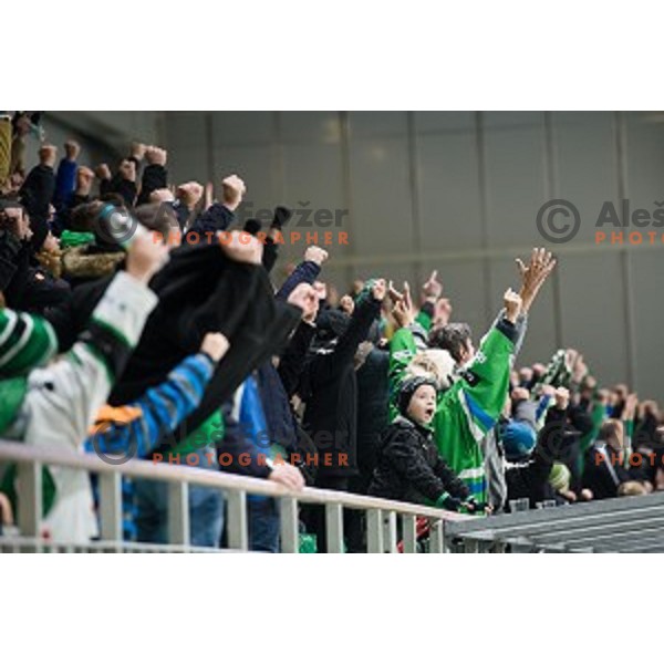 fans in action during Alps league ice hockey match between HK SZ Olimpija and Jesenice , Tivoli hall, Ljubljana, Slovenia on November 25, 2018