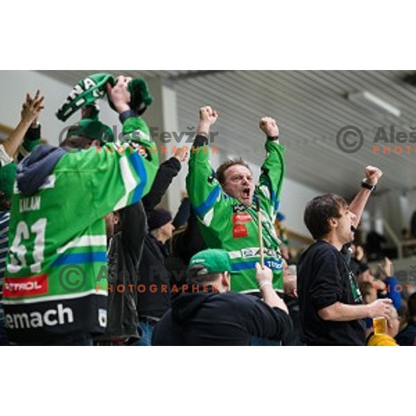 fans in action during Alps league ice hockey match between HK SZ Olimpija and Jesenice , Tivoli hall, Ljubljana, Slovenia on November 25, 2018