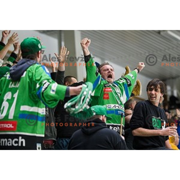 fans in action during Alps league ice hockey match between HK SZ Olimpija and Jesenice , Tivoli hall, Ljubljana, Slovenia on November 25, 2018