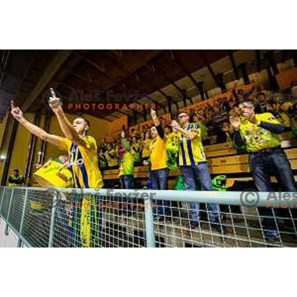Florijani during handball match between Maribor Branik and Celje PL, Round 14 of 1.NLB league, played in Dvorana Tabor, Maribor, Slovenia on December 16, 2018