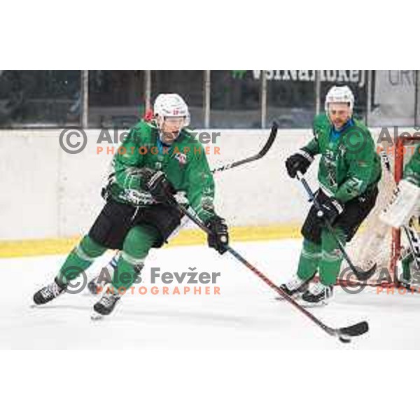 Kristjan Cepon in action during Alps league ice hockey match between HK SZ Olimpija and SIJ Acroni Jesenice in Tivoli hall, Ljubljana, Slovenia on December 22, 2018