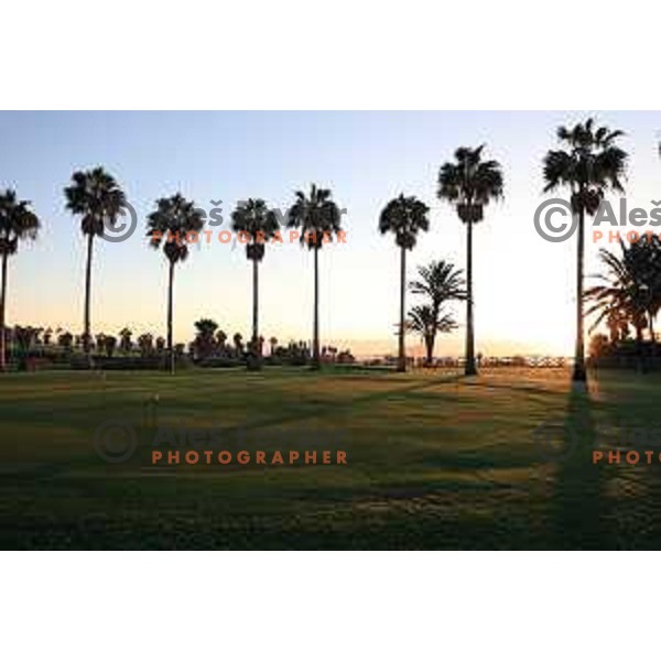 Golf Sur was built on volcanic soil 1987 and has 27 holes close to the sea at Tenerife, Canary Islands on November 29, 2018