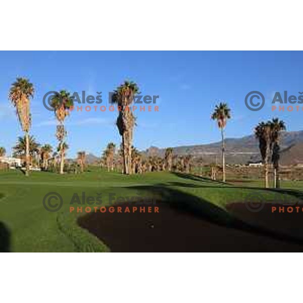 Golf Sur was built on volcanic soil 1987 and has 27 holes close to the sea at Tenerife, Canary Islands on November 29, 2018