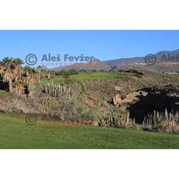 Golf Sur was built on volcanic soil 1987 and has 27 holes close to the sea at Tenerife, Canary Islands on November 29, 2018