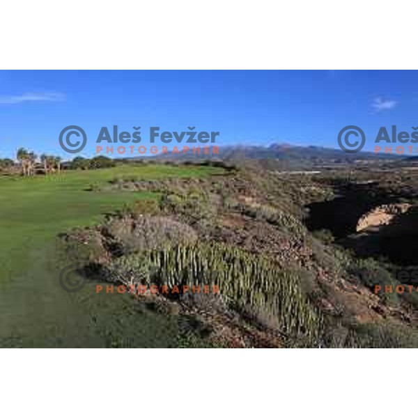Golf Sur was built on volcanic soil 1987 and has 27 holes close to the sea at Tenerife, Canary Islands on November 29, 2018