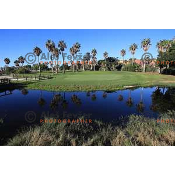 Golf Sur was built on volcanic soil 1987 and has 27 holes close to the sea at Tenerife, Canary Islands on November 29, 2018