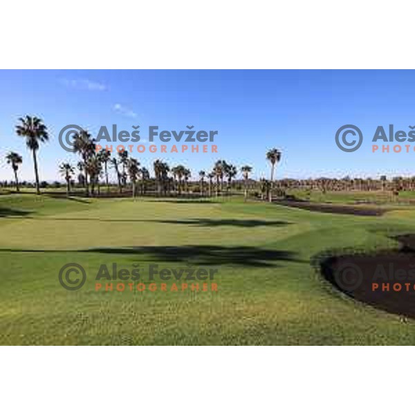 Golf Sur was built on volcanic soil 1987 and has 27 holes close to the sea at Tenerife, Canary Islands on November 29, 2018