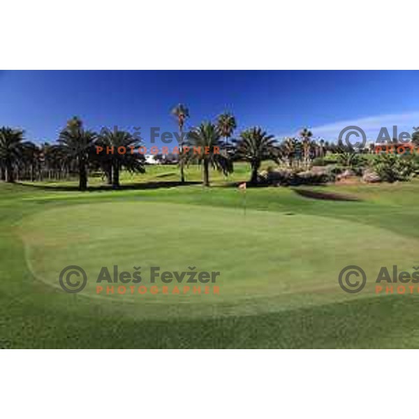 Golf Sur was built on volcanic soil 1987 and has 27 holes close to the sea at Tenerife, Canary Islands on November 29, 2018