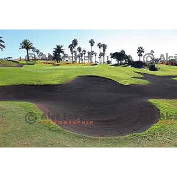 Golf Sur was built on volcanic soil 1987 and has 27 holes close to the sea at Tenerife, Canary Islands on November 29, 2018