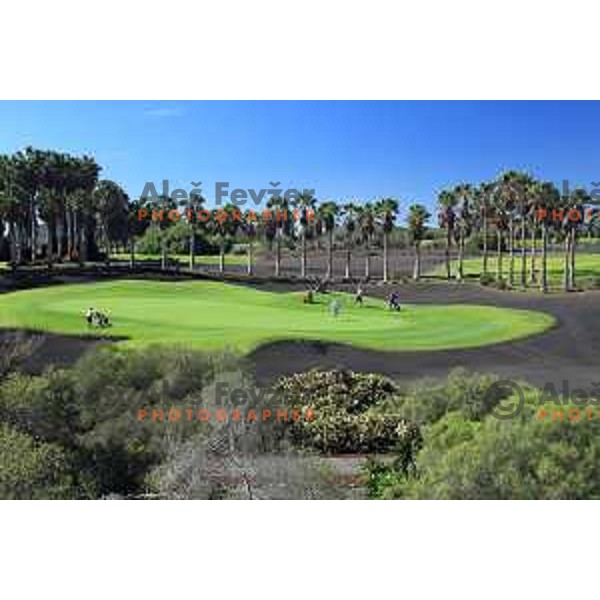 Golf Sur was built on volcanic soil 1987 and has 27 holes close to the sea at Tenerife, Canary Islands on November 29, 2018
