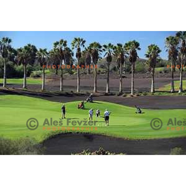 Golf Sur was built on volcanic soil 1987 and has 27 holes close to the sea at Tenerife, Canary Islands on November 29, 2018