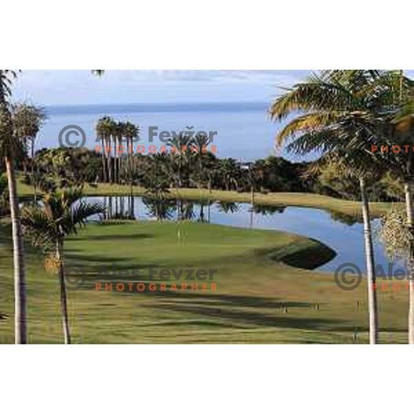 Abama 18 hole championship course contains over 300 species of subtropical plant life, including over 20,000 palm trees. Many holes have spectacular views of the Atlantic Ocean and the island of La Gomera. Photographed at Tenerife, Canary Islands on November 26, 2018
