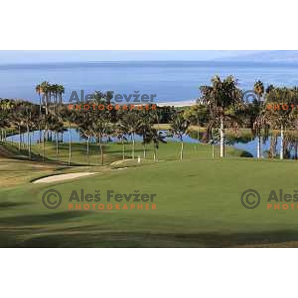 Abama 18 hole championship course contains over 300 species of subtropical plant life, including over 20,000 palm trees. Many holes have spectacular views of the Atlantic Ocean and the island of La Gomera. Photographed at Tenerife, Canary Islands on November 26, 2018