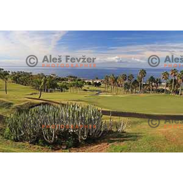 Abama 18 hole championship course contains over 300 species of subtropical plant life, including over 20,000 palm trees. Many holes have spectacular views of the Atlantic Ocean and the island of La Gomera. Photographed at Tenerife, Canary Islands on November 26, 2018