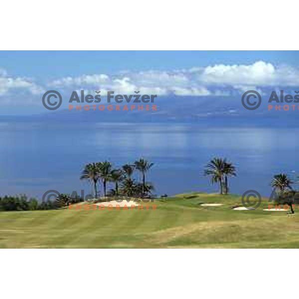 Abama 18 hole championship course contains over 300 species of subtropical plant life, including over 20,000 palm trees. Many holes have spectacular views of the Atlantic Ocean and the island of La Gomera. Photographed at Tenerife, Canary Islands on November 26, 2018