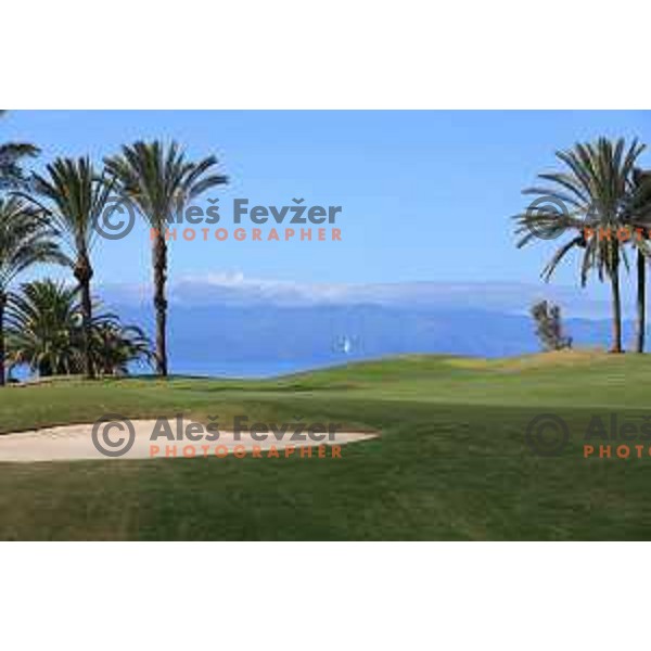Abama 18 hole championship course contains over 300 species of subtropical plant life, including over 20,000 palm trees. Many holes have spectacular views of the Atlantic Ocean and the island of La Gomera. Photographed at Tenerife, Canary Islands on November 26, 2018