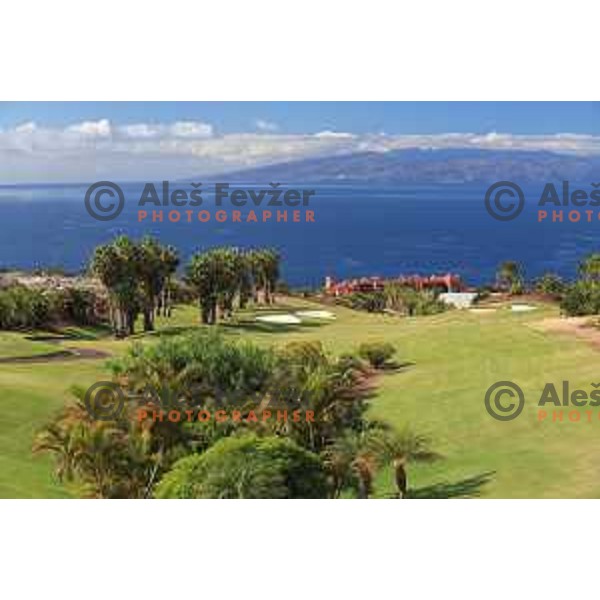 Abama 18 hole championship course contains over 300 species of subtropical plant life, including over 20,000 palm trees. Many holes have spectacular views of the Atlantic Ocean and the island of La Gomera. Photographed at Tenerife, Canary Islands on November 26, 2018