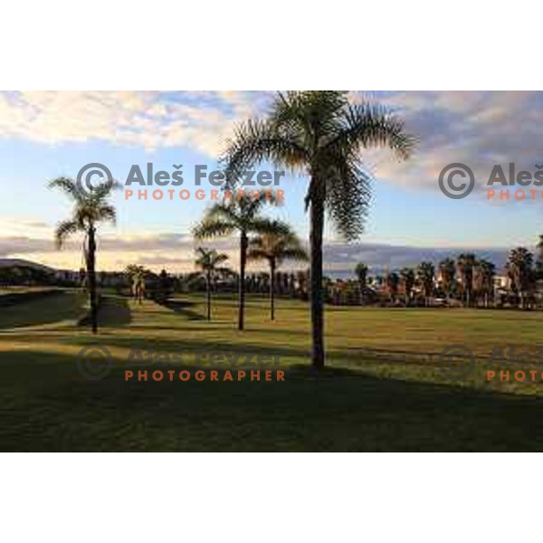Costa Adeje golf is 18 holes Championship course built on the former banana plantations. Photographed at Tenerife, Canary Islands on November 27, 2018