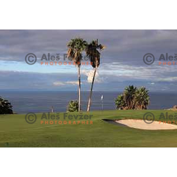 Costa Adeje golf is 18 holes Championship course built on the former banana plantations. Photographed at Tenerife, Canary Islands on November 27, 2018
