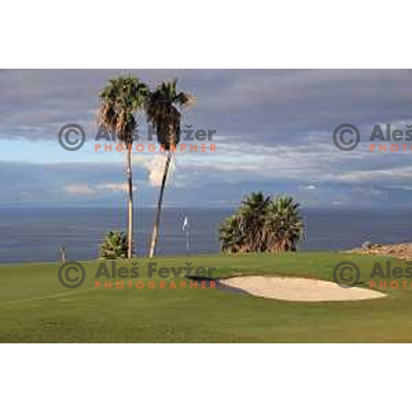 Costa Adeje golf is 18 holes Championship course built on the former banana plantations. Photographed at Tenerife, Canary Islands on November 27, 2018