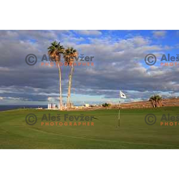 Costa Adeje golf is 18 holes Championship course built on the former banana plantations. Photographed at Tenerife, Canary Islands on November 27, 2018