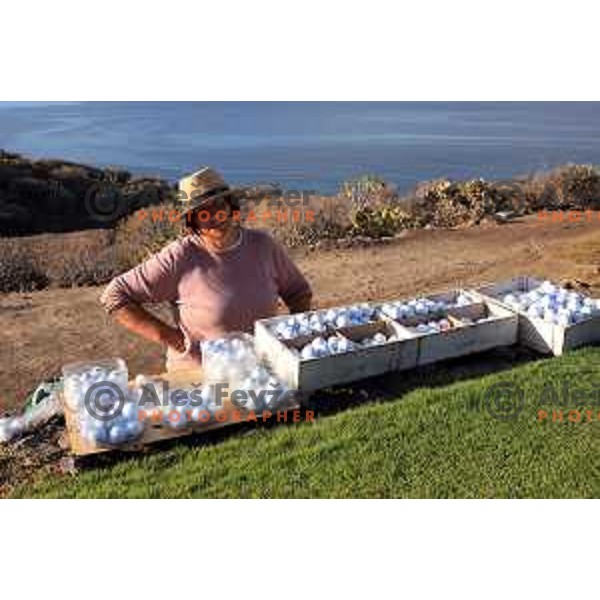 Costa Adeje golf is 18 holes Championship course built on the former banana plantations. Photographed at Tenerife, Canary Islands on November 27, 2018