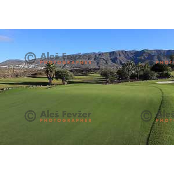 Costa Adeje golf is 18 holes Championship course built on the former banana plantations. Photographed at Tenerife, Canary Islands on November 27, 2018