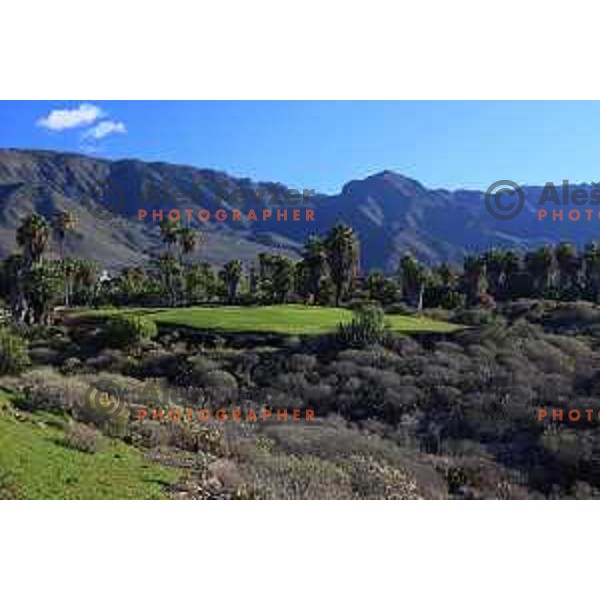 Costa Adeje golf is 18 holes Championship course built on the former banana plantations. Photographed at Tenerife, Canary Islands on November 27, 2018