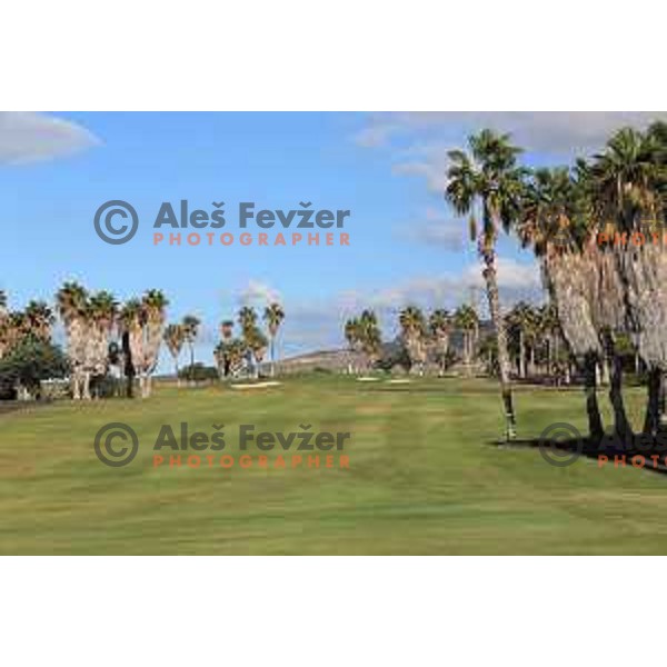 Costa Adeje golf is 18 holes Championship course built on the former banana plantations. Photographed at Tenerife, Canary Islands on November 27, 2018