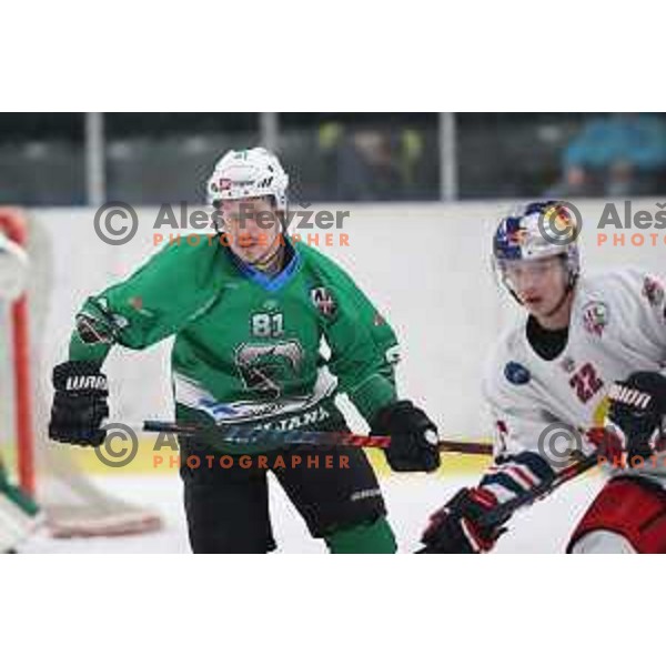 of SZ Olimpija in action during Alps League (AHL) ice hockey match between SZ Olimpija and Red Bulls 2 in Tivoli Hall, Ljubljana on January 5, 2019