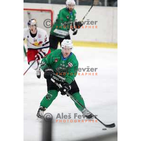 of SZ Olimpija in action during Alps League (AHL) ice hockey match between SZ Olimpija and Red Bulls 2 in Tivoli Hall, Ljubljana on January 5, 2019