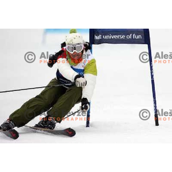 Urska Hrovat during first run of HIT Ski Legends Challenge by Jure Kosir in Kranjska gora, Slovenia 2.2.2008. Photo by Ales Fevzer 