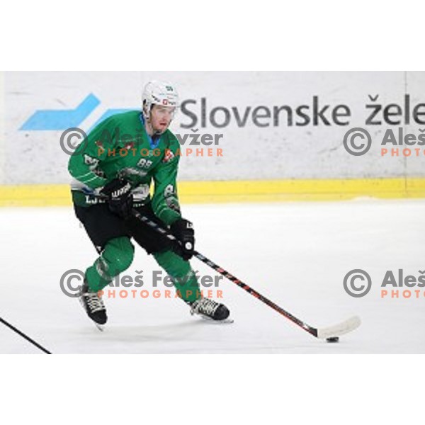 of SZ Olimpija in action during Alps League ice-hockey match between SZ Olimpija and Fassa in Tivoli Hall, Ljubljana, Slovenia on January 9, 2018